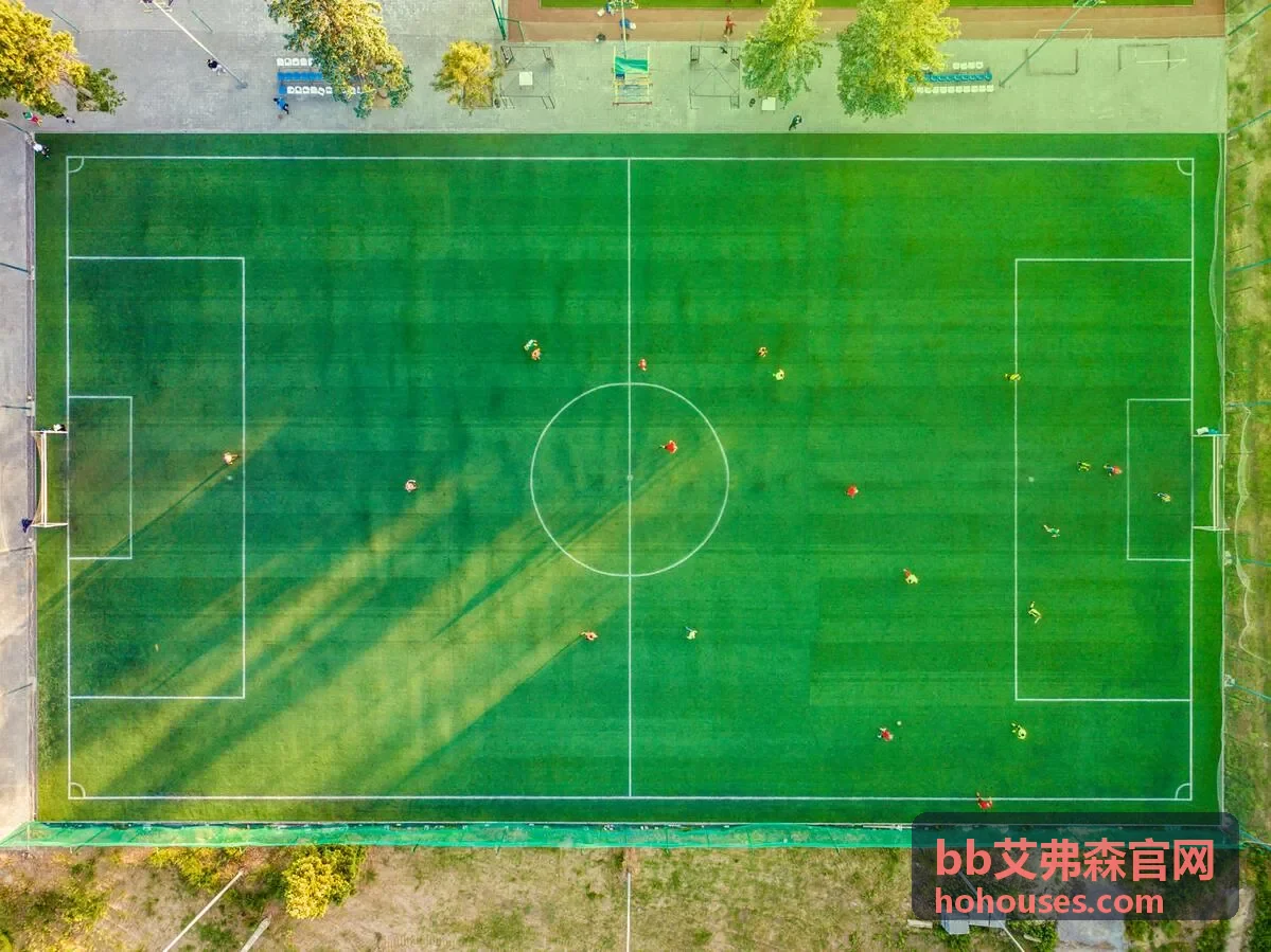 bb艾弗森官网 疾速控球室内外训练篮球